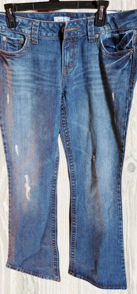 NWT Aeropostale Hailey Skinny Flare Jean Size 9/10 regular length.